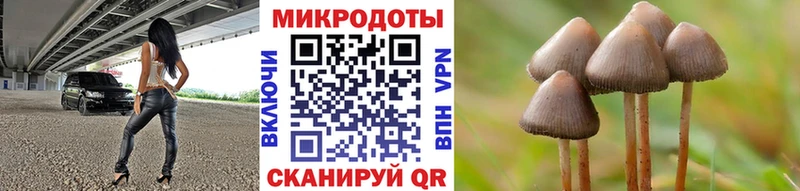 купить   Краснослободск  Псилоцибиновые грибы Psilocybe 